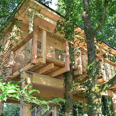 Appartement Mainbaumhaus *