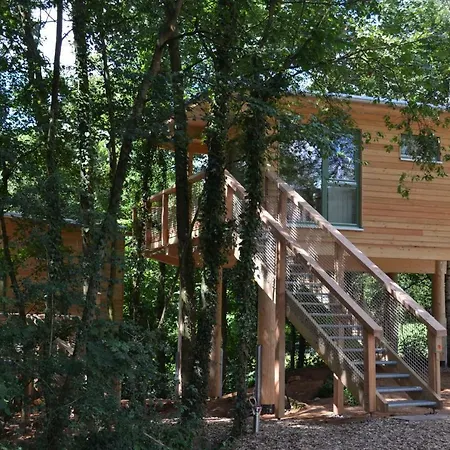 Mainbaumhaus Appartement