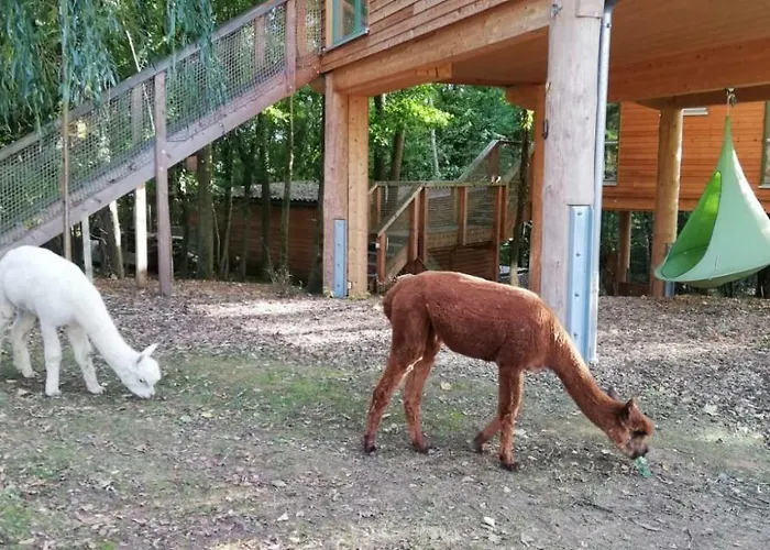 Appartement Mainbaumhaus