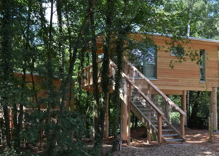 Mainbaumhaus Appartement